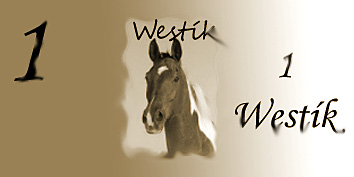 1 westík.jpg