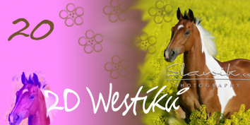 20 Westíků nové.jpg