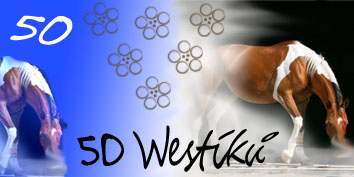 50 Westíků nové.jpg