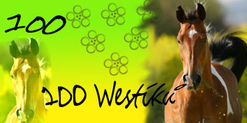 100 Westíků.jpg