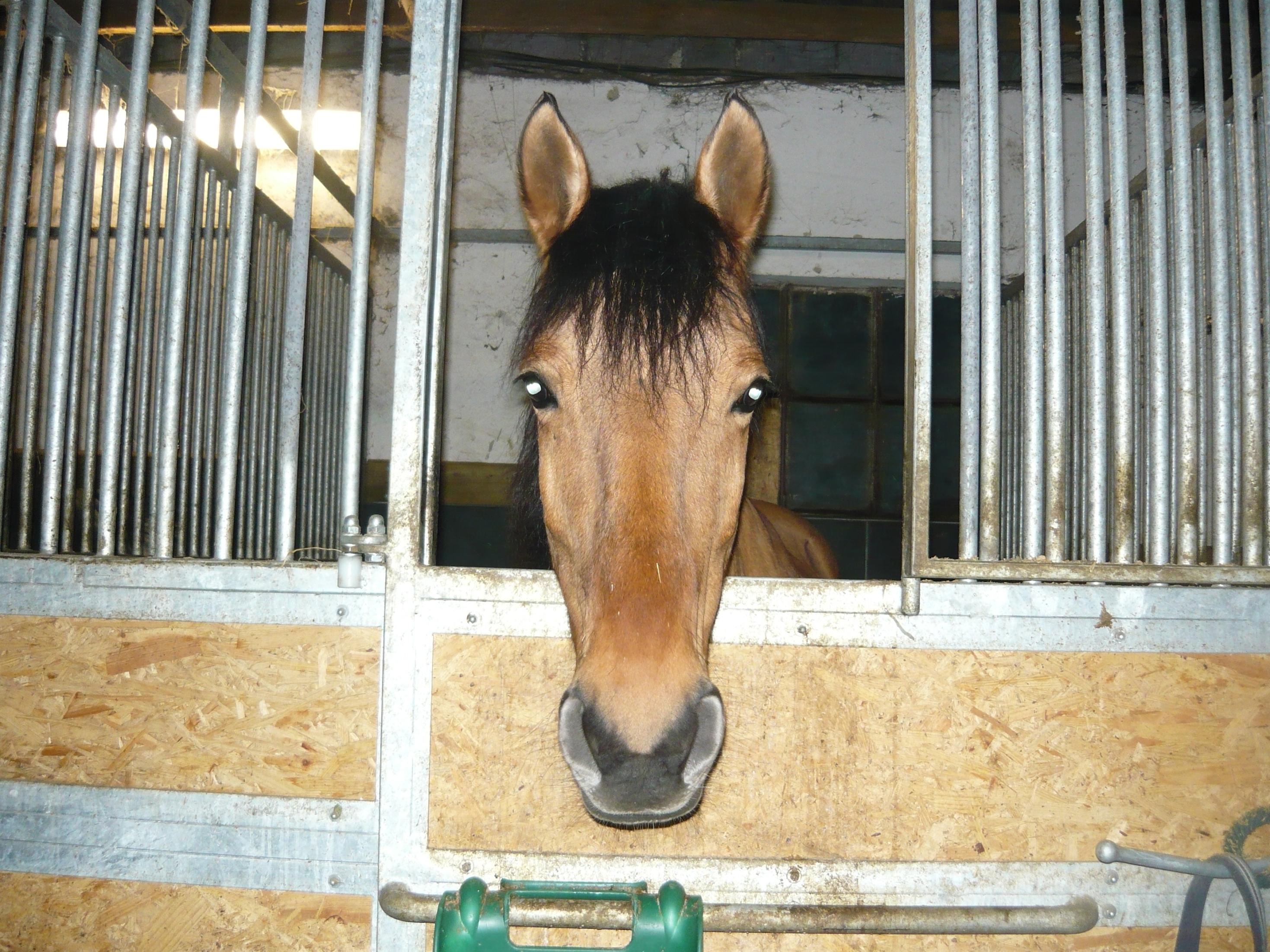 P1000389.jpg