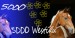 5000 Westíků.jpg