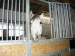 P1000077.jpg